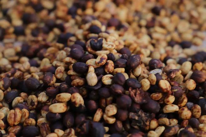 拼多多把“乡土生意”做成新国货AG真人平台一颗云南豆子的逆袭